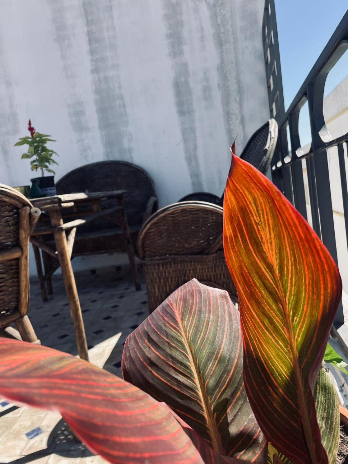 Kasbah'S Road Art House Βίλα Ταγγέρη Εξωτερικό φωτογραφία